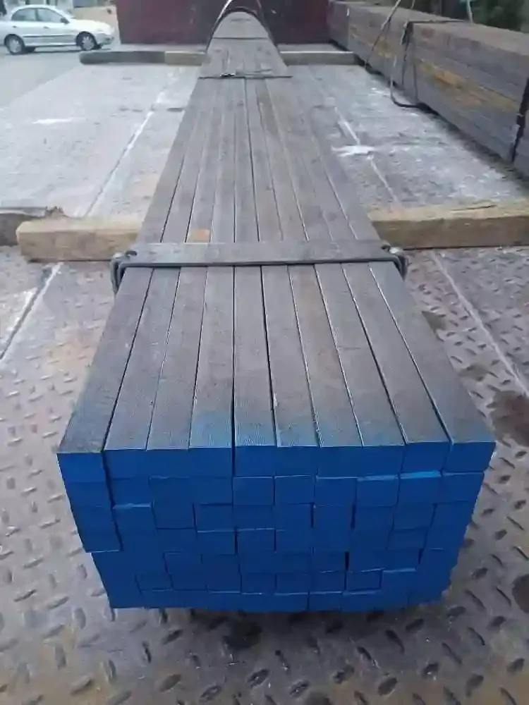 پاسارگاد سگال سپنتا